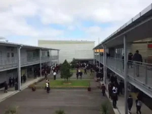 Botany Downs Secondary College